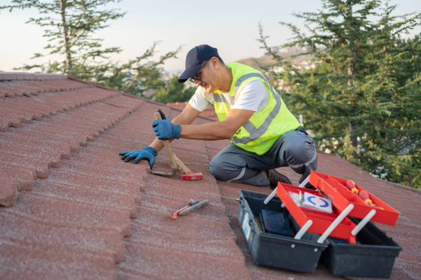 Best Roof Gutter Cleaning  in Bushland, TX