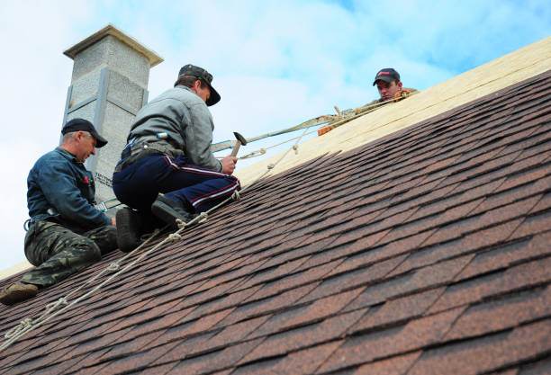 Best Best Roofing Contractors  in Bushland, TX